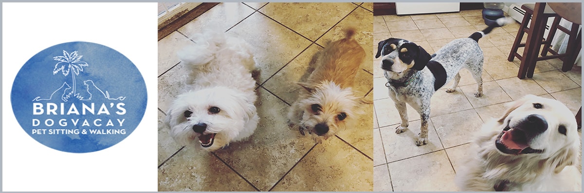 Briana's DogVacay